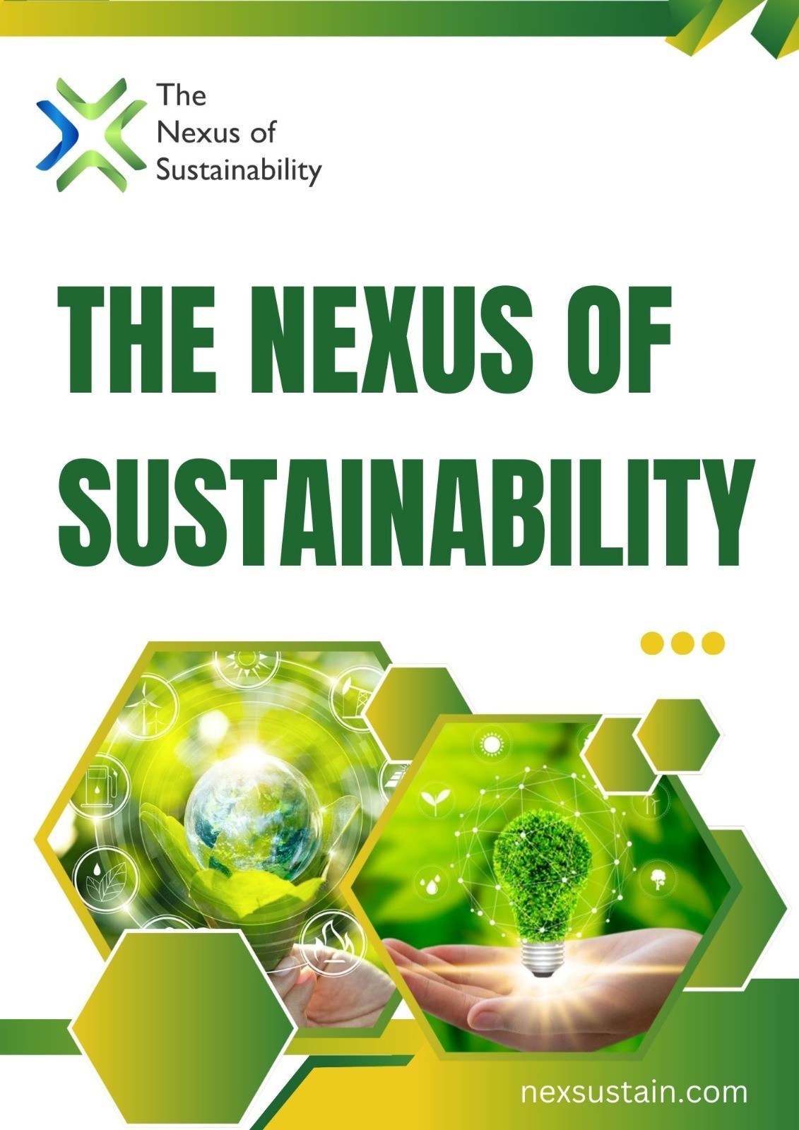 The Nexus of Sustainability cover